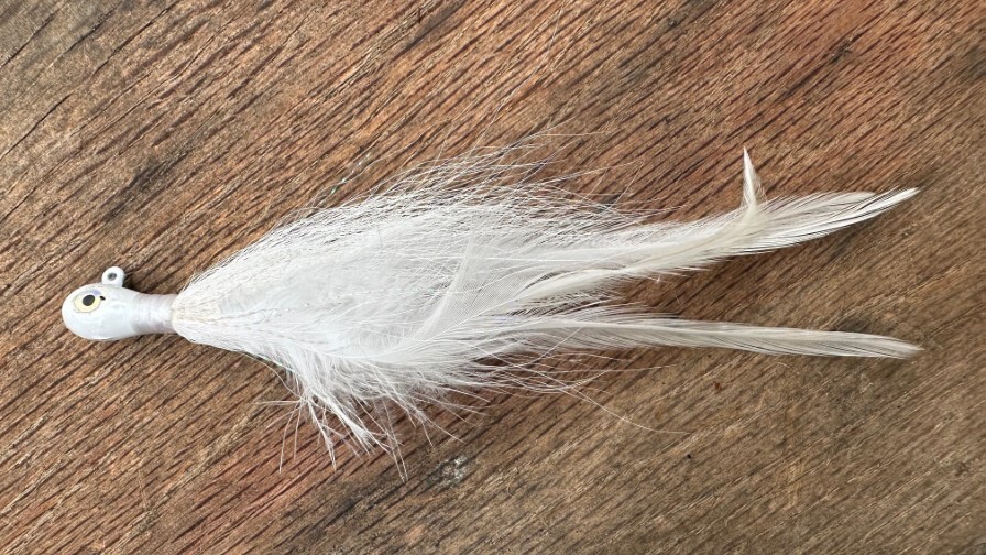 Basser バサー 2018 年 5 月 317 バスフィッシング バス釣り Basser（バサー） 2018年11月号 (発売日2018年09月26日) | 雑誌